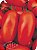 1000 Sementes De Tomate San Marzano - 3 g - Imagem 2