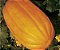 100 Sementes De Melão Caipira - 5 g - Imagem 2