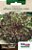 560 Sementes de Alface Mímosa Roxa Salad Bowl - 700mg - Imagem 1
