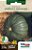 20  Sementes de Abóbora Moranga (coroa) - 2,5g - Imagem 1