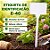 ETIQUETA DE IDENTIFICAÇÃO E-40 HORTA, PLANTAÇÕES, FACULDADES E AGRO KIT COM 50 UNIDADES - Imagem 3