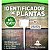 Etiqueta Placa Plaquinha de Identificação de Plantas  Placas e Etiquetas Plásticas Brancas para Identificar suas Plantas - Imagem 6