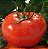 Semente de  Tomate Super Marmande (Gaúcho/Maçã) - Envelope 3,5g - Imagem 2