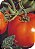Semente de  Tomate Super Marmande (Gaúcho/Maçã) - Envelope 3,5g - Imagem 1