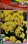 Semente de Flor Alyssum Perene Amarelo - Envelope 300mmg - Imagem 1