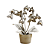 Orquídea P - Imagem 1