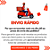Ginkgo Biloba com Ginseng 300CPS - Imagem 4