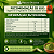 Chá Verde Termogênico Detox 500mg 300 Cápsulas - Imagem 3