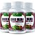 Ginkgo Biloba com Castanha 300CPS - Imagem 1