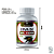 Extrato de Erva Baleeira 500mg 100 Cápsulas Puro - Natural Nutrien - Imagem 3