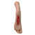 MASTURBADOR MASCULINO FORMATO DE PÉ COM VAGINA - 22,0 X 7,0 CM - Imagem 2
