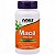 MACA PERUANA 500mg NOW FOODS 100 Veg Cápsulas - Imagem 1