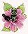 Terapia Floral - Imagem 1