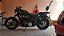 Sissy Bar Removível Sportster 75cm - Imagem 6