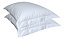 Fronha 3 Abas Avulsa Percal 180 Fios Premium 70% Algodão/30% Poliester 50X70cm - Imagem 1