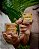 Kit de Shampoo de Andiroba 80g + Condicionador sólido de andiroba 50g - Imagem 1