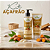 Kit Açafrão – Bioilha - Imagem 1