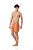 SHORT MYR SWIN CURTO ORANGE PALM - Imagem 3