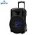 Caixa de Som Bluetooth Lenoxx CA 350 Amplificada - 500W USB Woofer (221515000) - Imagem 5