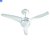 Ventilador Teto com Luminária Mondial, Maxi Air, 220V, Branco, 125W - VTE-01 - Imagem 1