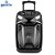 Caixa de Som Amplificada Multiuso Frahm - CM 650 Bluetooth 650W - Imagem 2