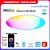 Lâmpada Smart de Teto WIFI LED Regulavel com Alexa Google Assistente 220V-240V Tuya - Branca - Imagem 1