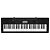 Teclado Musical Casio CTK-3500 Arranjador Musical 5/8 Com Fonte - Bivolt, Preto - Imagem 1
