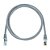 Cabo de Rede Patch Cord Sohoplus U/UTP CAT.5e CMX 0.5 Metros ( 50cm ) - Cinza - Imagem 7
