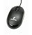 Kit Caixa de Som Bateria Portatil Mouse - Imagem 2