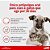 Antipulgas Comfortis 810 mg - Cães de 18 a 27Kg - Imagem 5
