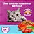 Ração Whiskas Gatos Castrados Sabor Carne - Imagem 4