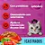 Ração Whiskas Gatos Castrados Sabor Carne - Imagem 5