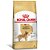 Ração Royal Canin Breeds Golden Retriever Adult 12kg - Imagem 1