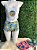 PIJAMA BABYDOLL ONDINHA VIRGINIA M/G - Imagem 1