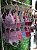 CONJUNTO LINGERIE LUNA - Imagem 4