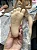 BONECA REALISTICA BRANCA - Imagem 2