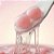 BUBBLE VIBES GEL COM MICROESFERAS 3 EM 1 CHICLETE 120G INTT - Imagem 2