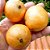 Mudas Frutiferas de Cambuca  (JABUTICABA AMARELA) Plinia edulis - Imagem 1