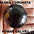Jabuticabeira Olho de Boi (Plinia coronata) Coroada - Imagem 1