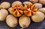 Muda Sapoti Alano Enxertado Produz Precocemente fruta muito doce - Imagem 3