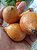 Muda De Achachairu Boliviano (Garcinia humilis) Frutos Muito Saborosos - Imagem 1