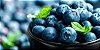 Muda De Mirtilo  (Blueberry) Produzindo excelente antioxidante - Imagem 1