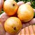 MUDA DE CAMBUCA (JABUTICABA AMARELA) Plinia edulis - Imagem 3