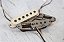 Captadores Seymour Duncan Joe Bonamassa "Greenburst" Stratocaster® Set – Gray Bottom - Imagem 2