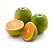 LARANJA PERA KG. - Imagem 2