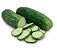 PEPINO SALADA - 500 GRAMAS - Imagem 1