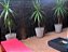 Basalto Black Filete 5 cm x Livre - R$ 165,00 m² - Imagem 10