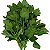 Espinafre (unid.) - Imagem 1