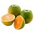 Laranja Pera (3Kg) - Imagem 1