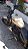 HARLEY-DAVIDSON   SPORTSTER XL 883N IRON  Custom 2014 Bege - Imagem 2